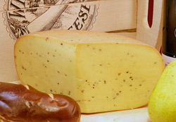 Gouda