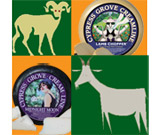 Sheep/Goat Cheeses