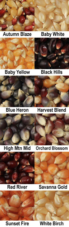 Fireworks Gourmet Popcorn Kernels - 15 oz